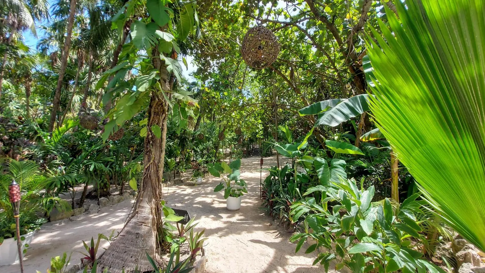 Apartmán Hermoso Penthouse En Aldea Zama 3Bedromm Tulum